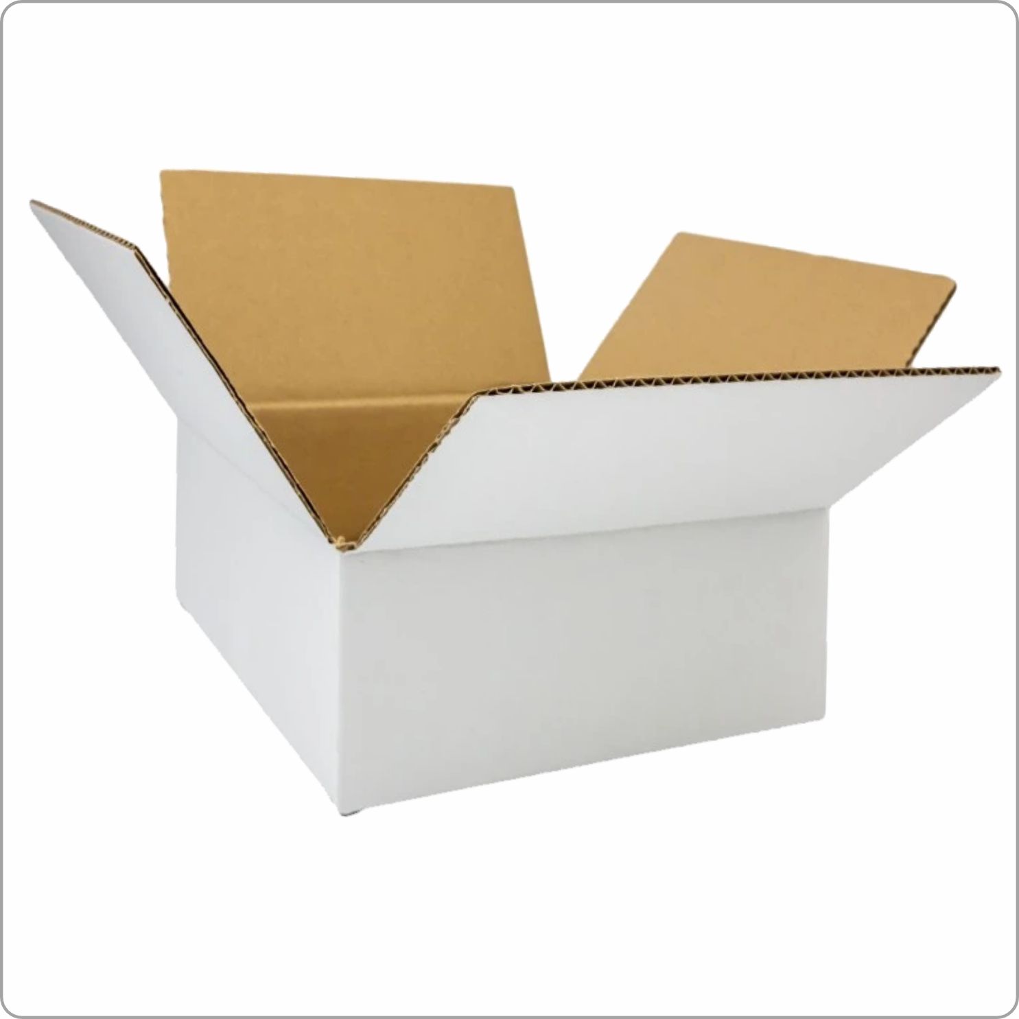 eg_box-f0201-white(2)