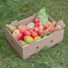 Box for fruit and vegetables 37,5x28x14,5 cm (width x length x height/ inner sizes) 40x30x15 cm outer sizes, 5-layer corrugated cardboard ca 4,5 mm brown/brown